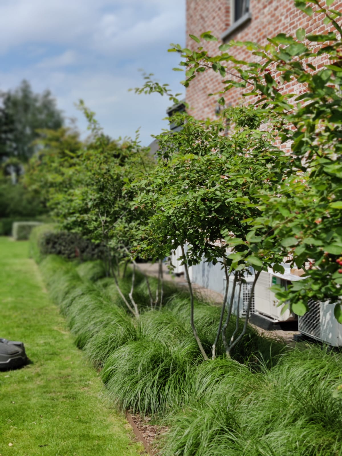 Garden VR-VM — foto 2