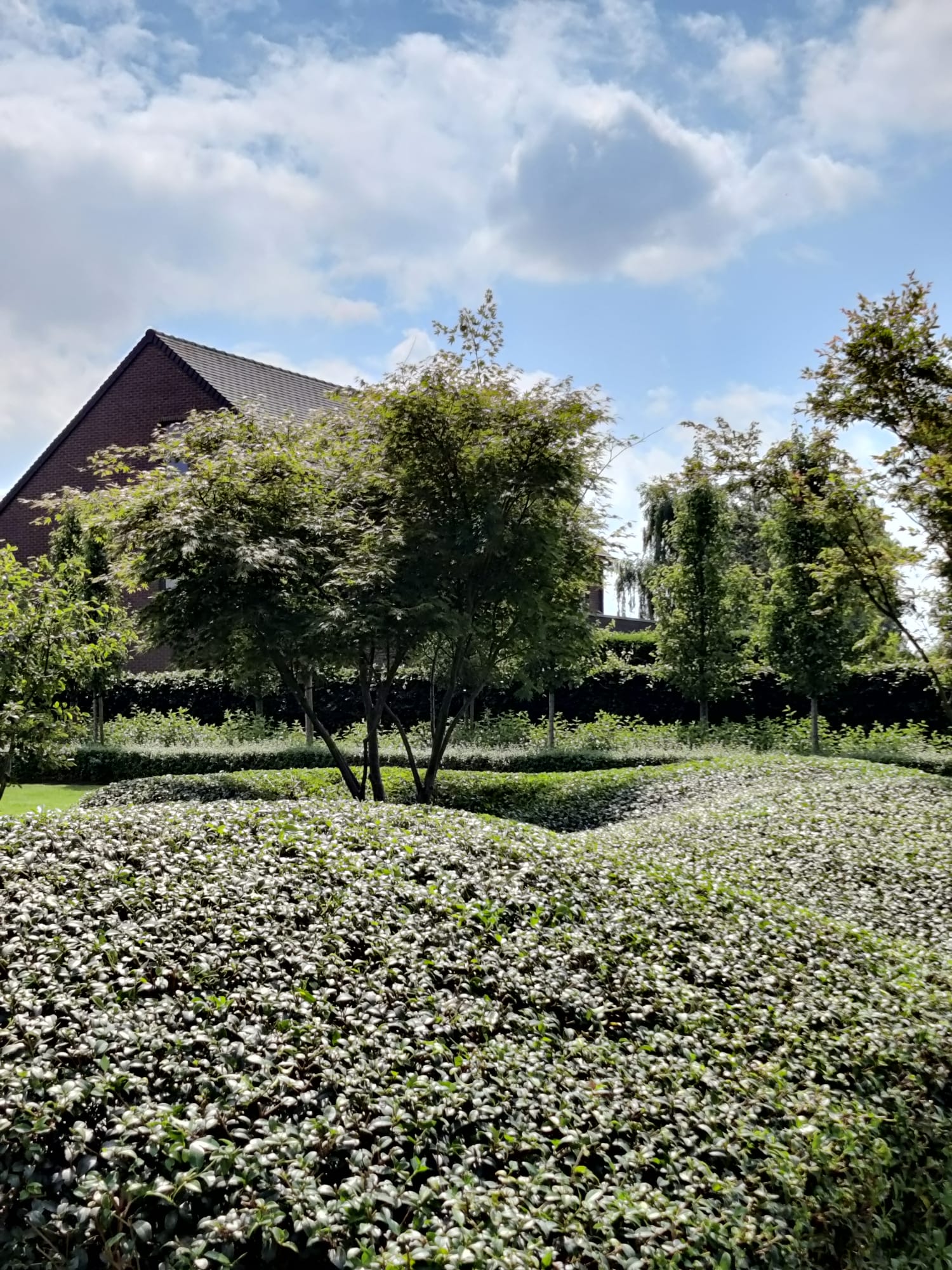 Garden VR-VM — foto 3