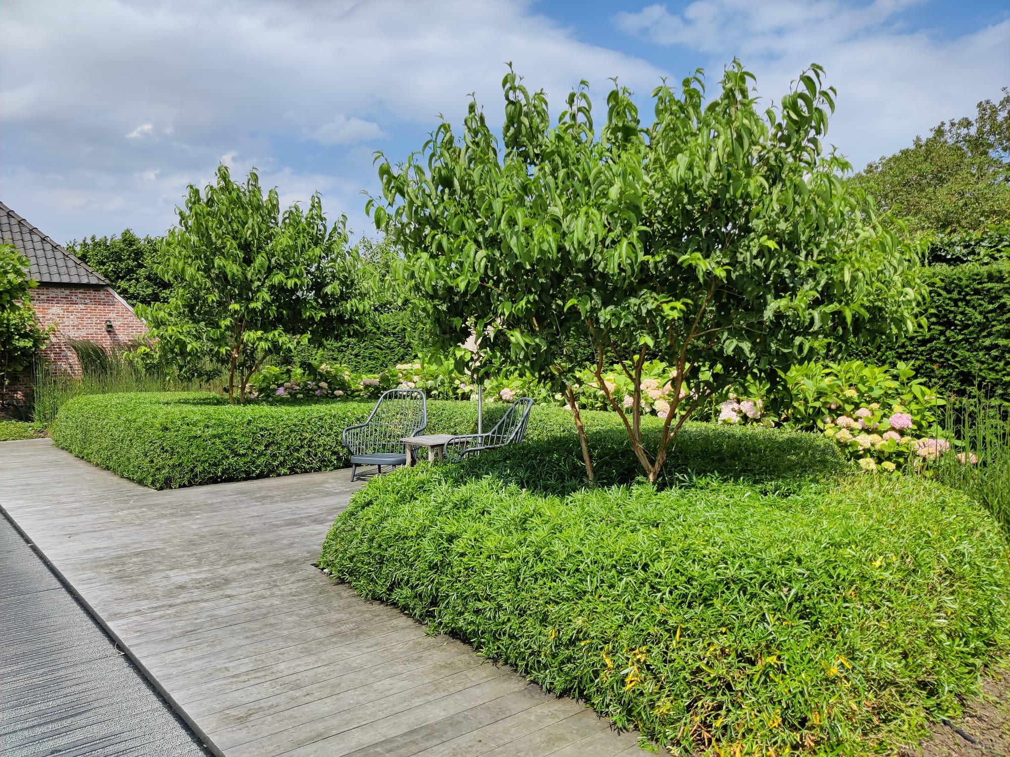 Garden VR-VM